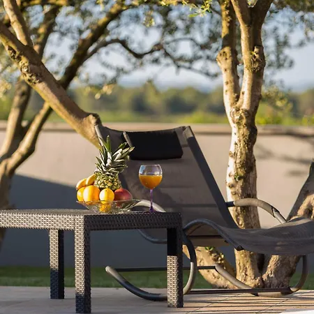 My Dalmatia - Simone With Private Pool And Beautiful Garden