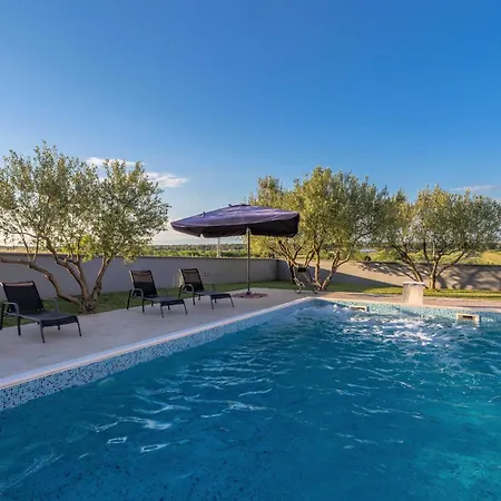 Dom wakacyjny My Dalmatia - Simone With Private Pool And Beautiful Garden *