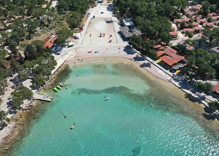 My Dalmatia - Simone With Private Pool And Beautiful Garden 비오그라드나모루